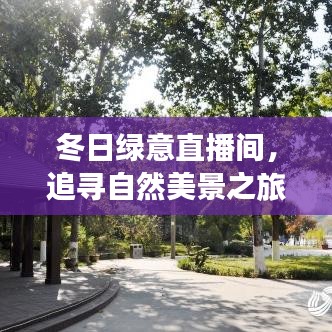 冬日绿意直播间，追寻自然美景之旅，心灵宁静终极驿站——揭秘人气排行榜实况