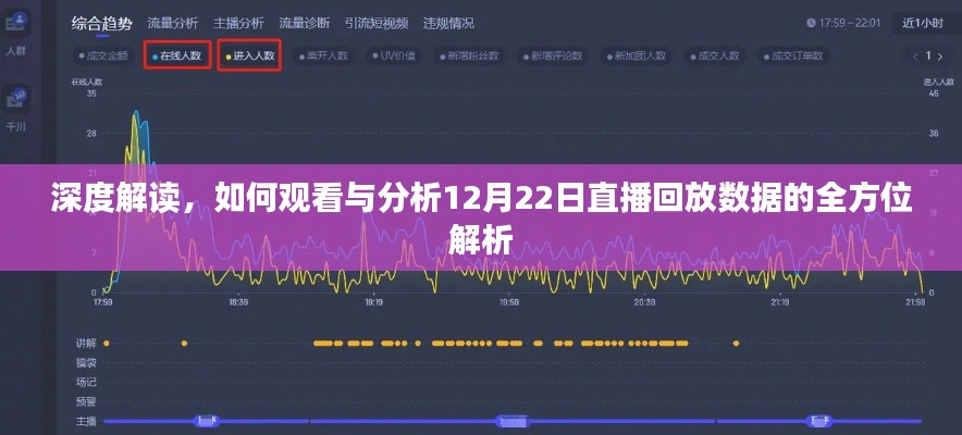 全方位解析，如何观看与分析直播回放数据——深度解读（直播回放数据解析指南）