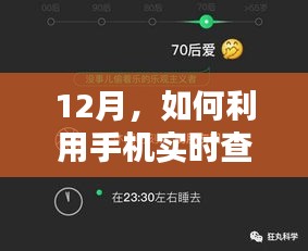 12月手机实时查看林地状况指南