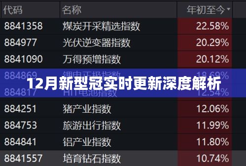 12月新型冠实时更新深度解析，最新进展与关键信息解读