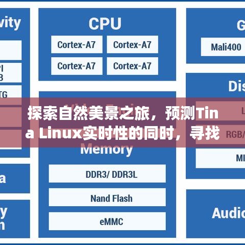 自然探索之旅，Tina Linux实时性预测与内心宁静的追寻