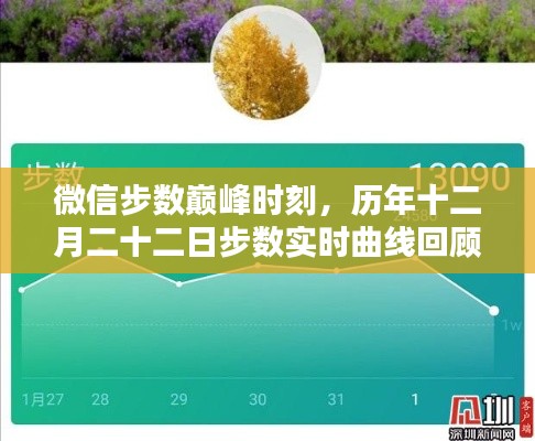 微信步数巅峰时刻回顾，历年十二月二十二日步数实时曲线一览