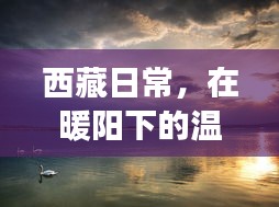 西藏暖阳下的温情时光，行情与友情故事——十二月二十二日记录