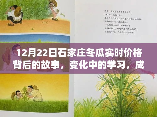 石家庄冬瓜实时价格背后的故事，探寻变化中的学习成就自信之路