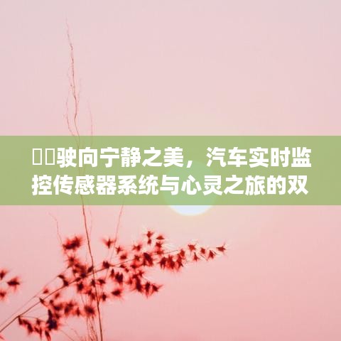 汽车实时监控传感器系统，心灵之旅的宁静之美双重奏