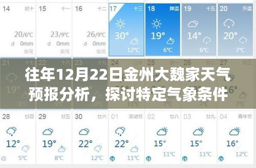 往年12月22日金州大魏家天气预报分析，特定气象条件下的气象探讨