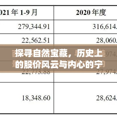 自然宝藏探寻，历史股价风云与内心宁静之旅的交织