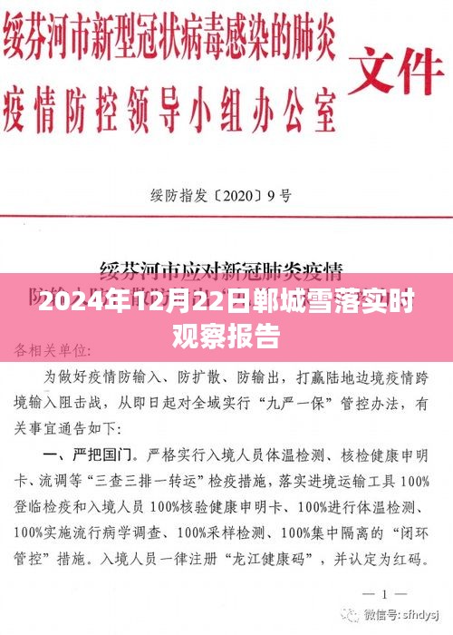 2024年12月22日郸城雪落实况观察报告