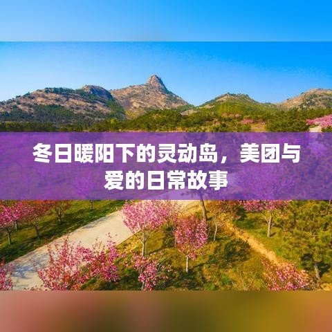 美团与爱在冬日暖阳下的灵动岛日常故事