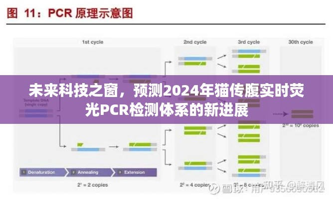 未来科技之窗，预测猫传腹实时荧光PCR检测体系的新进展（2024年）