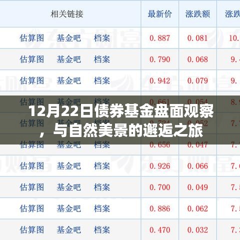 12月22日债券基金盘面观察，邂逅自然美景的投资之旅