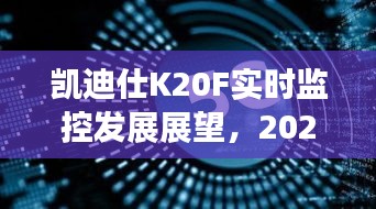 2024年12月24日 第13页