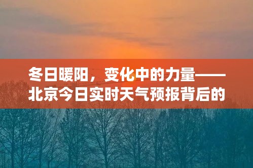 冬日暖阳下的力量，北京实时天气预报背后的励志故事