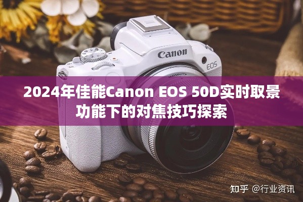 佳能EOS 50D实时取景功能对焦技巧探索（2024年）