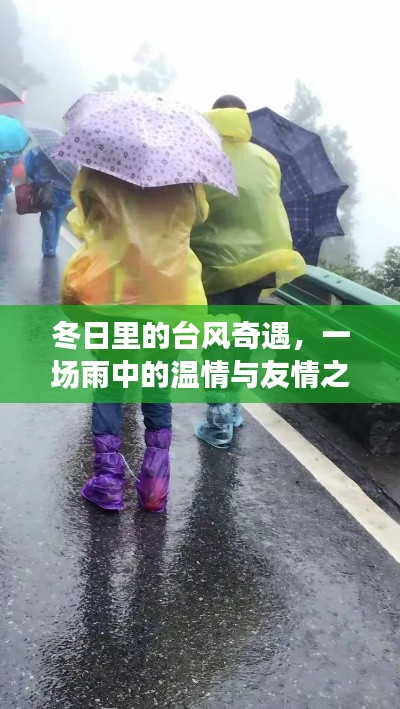 冬日台风奇遇，雨中温情与友情之旅