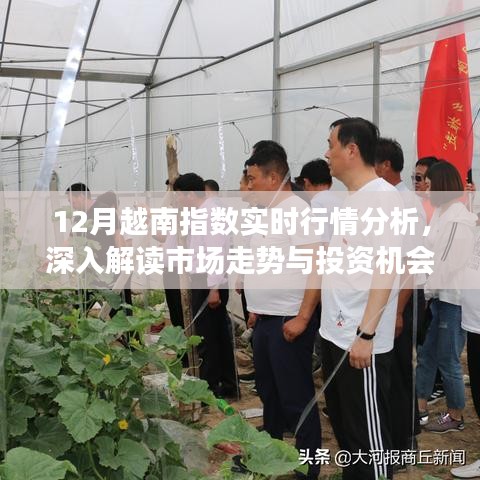 12月越南指数实时行情解析，市场走势深度剖析与投资机会洞察