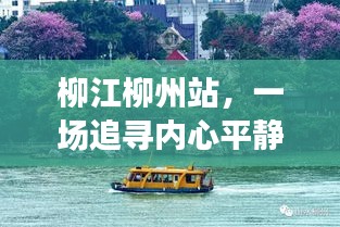 柳江柳州站，追寻内心平静的旅程，探寻自然美景的奇幻之旅