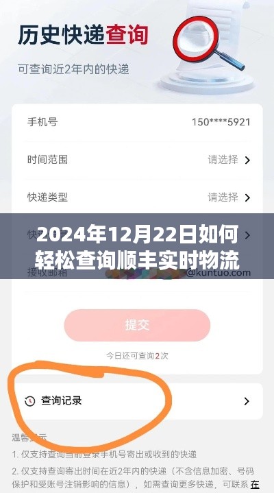 如何轻松查询顺丰实时物流信息（2024年12月22日指南）