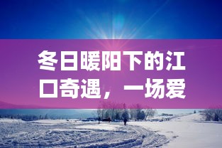 冬日暖阳下的江口奇遇，爱与陪伴的实时报道旅程