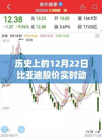 历史上的12月22日比亚迪股价走势回顾与实时动态洞察