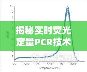 揭秘实时荧光定量PCR技术原理（截至2024年12月22日）