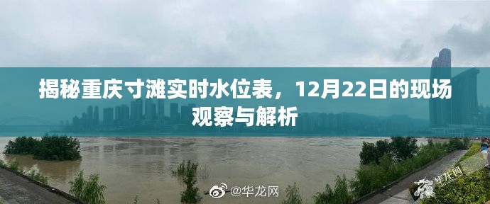 重庆寸滩实时水位观察报告，12月22日现场揭秘与解析