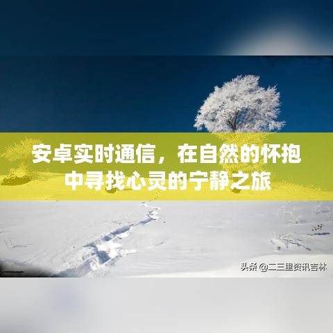 安卓实时通信，自然怀抱中的心灵沟通之旅