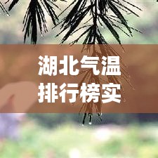 湖北气温排行榜最新动态，聚焦观点之争与实时分析