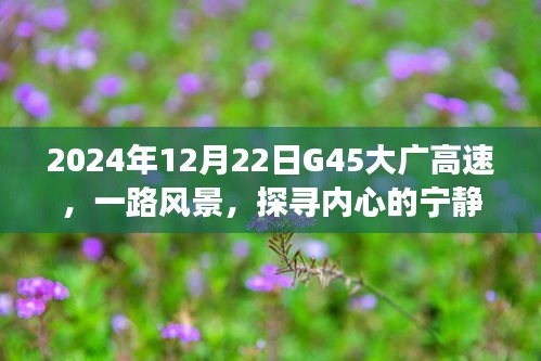 探寻内心的宁静之旅，大广高速G45的2024年冬日风景纪实