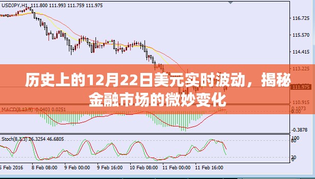 揭秘，历史上的美元实时波动与金融市场微妙变化