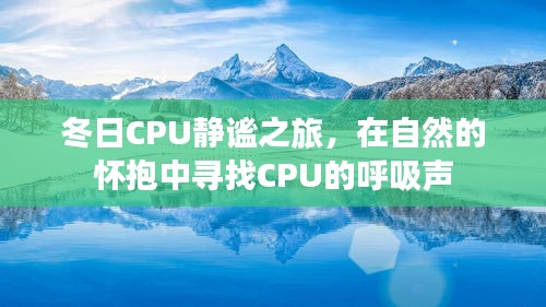 冬日CPU静谧之旅，聆听自然的呼吸，探索CPU的静谧之声