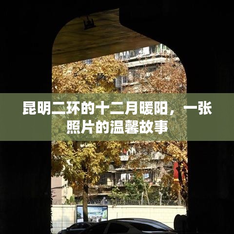 昆明二环十二月暖阳，照片中的温馨故事