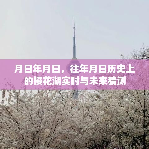 樱花湖的历史变迁与未来预测，实时观察与猜测