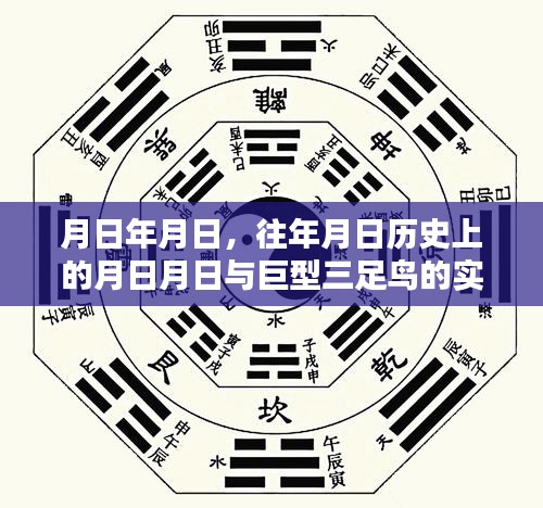 历史巨鸟实时视频演示，月日月日与三足鸟观察