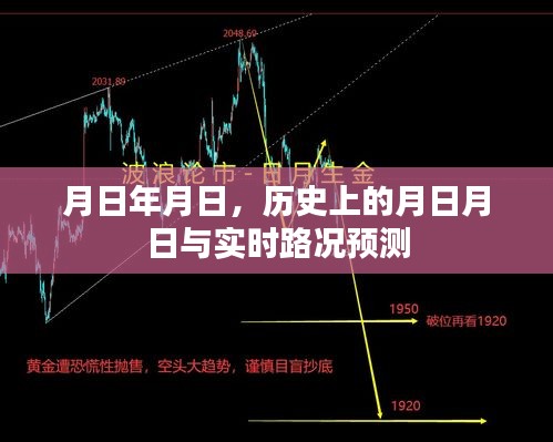 月日月日的历史与实时路况预测概览