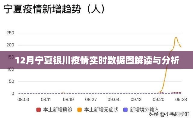 宁夏银川疫情实时数据解读与分析报告