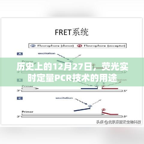 荧光实时定量PCR技术，历史应用与用途解析