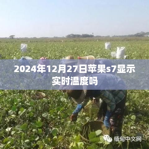 苹果s7手表实时温度显示功能介绍