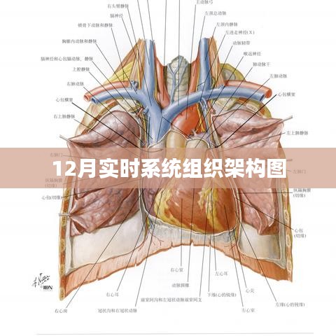 实时系统组织架构图详解，12月架构概览