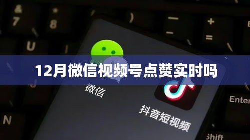 微信视频号点赞实时性探讨，12月表现如何？