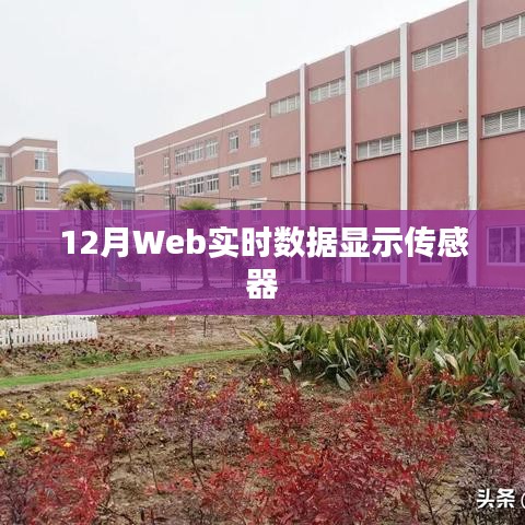 12月Web实时数据监测传感器应用概览