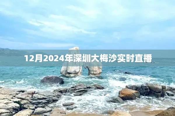 2024年12月深圳大梅沙实时直播，海滨风情尽收眼底