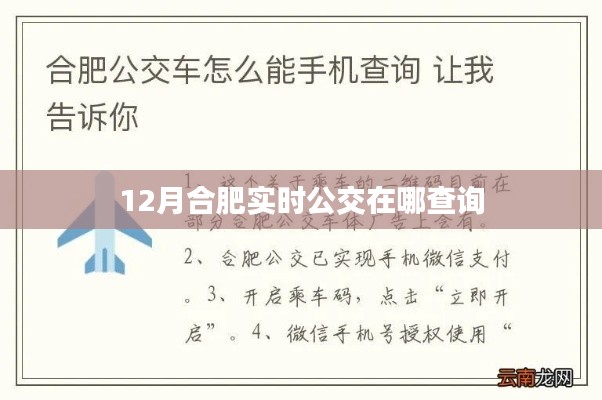 合肥实时公交查询指南，12月出行必备