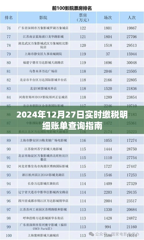 实时缴税明细账单查询指南（2024年12月27日）