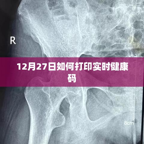 12月27日打印实时健康码教程