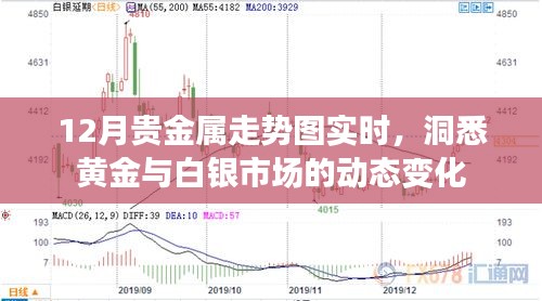 12月贵金属走势实时分析，黄金白银市场动态