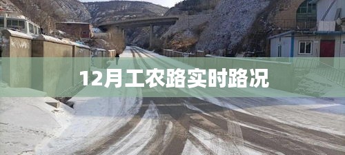 12月工农路实时交通状况速报