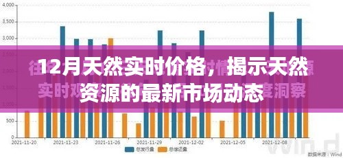 2024年12月30日 第18页