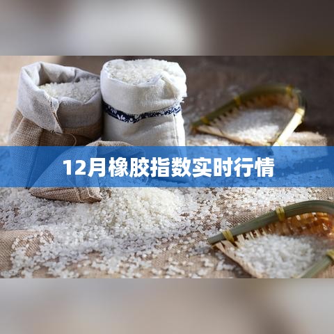 橡胶指数最新实时行情（12月）