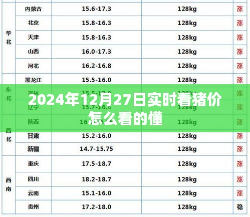 2024年12月30日 第11页